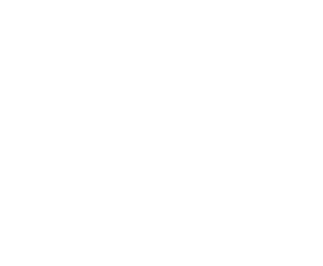 Logo Alyeska Flow