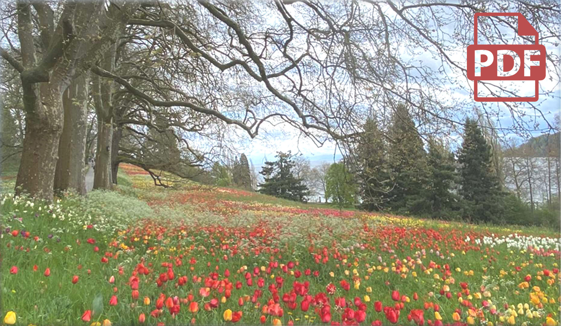 booklet_2- Booklet 2